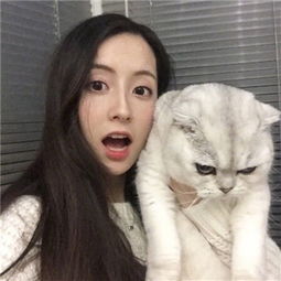 未来战争重生安卓